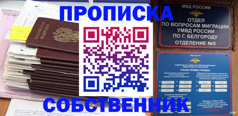 прописка законно в Калуге